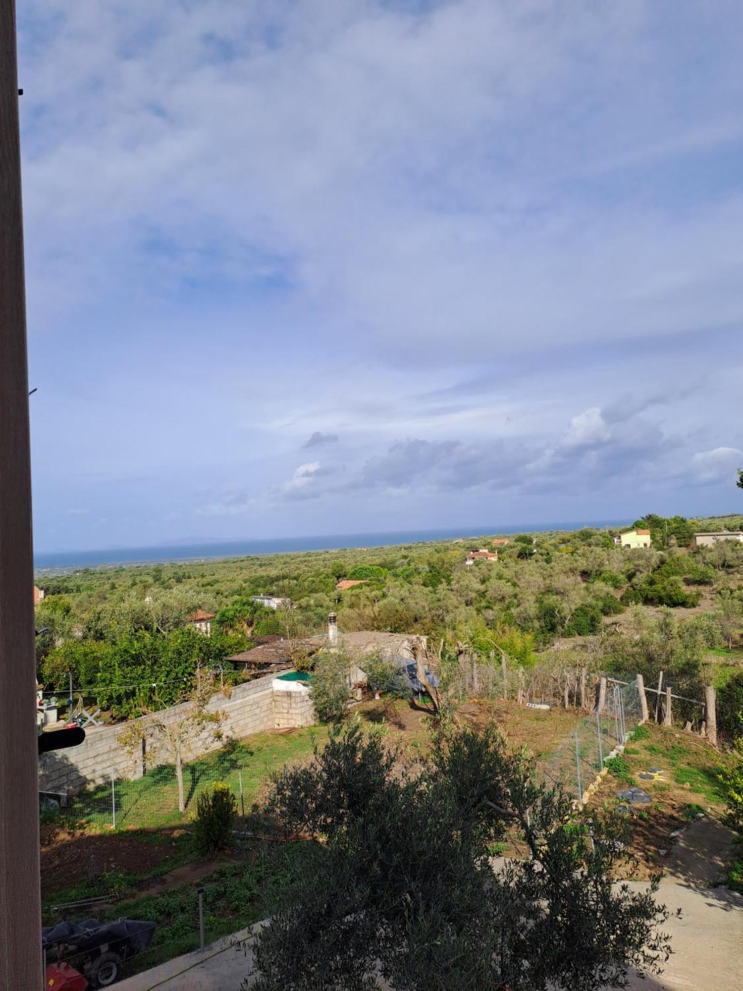 סאסארי Villa Andres מראה חיצוני תמונה