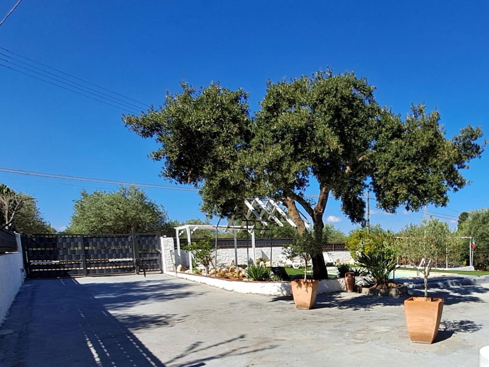 סאסארי Villa Andres מראה חיצוני תמונה