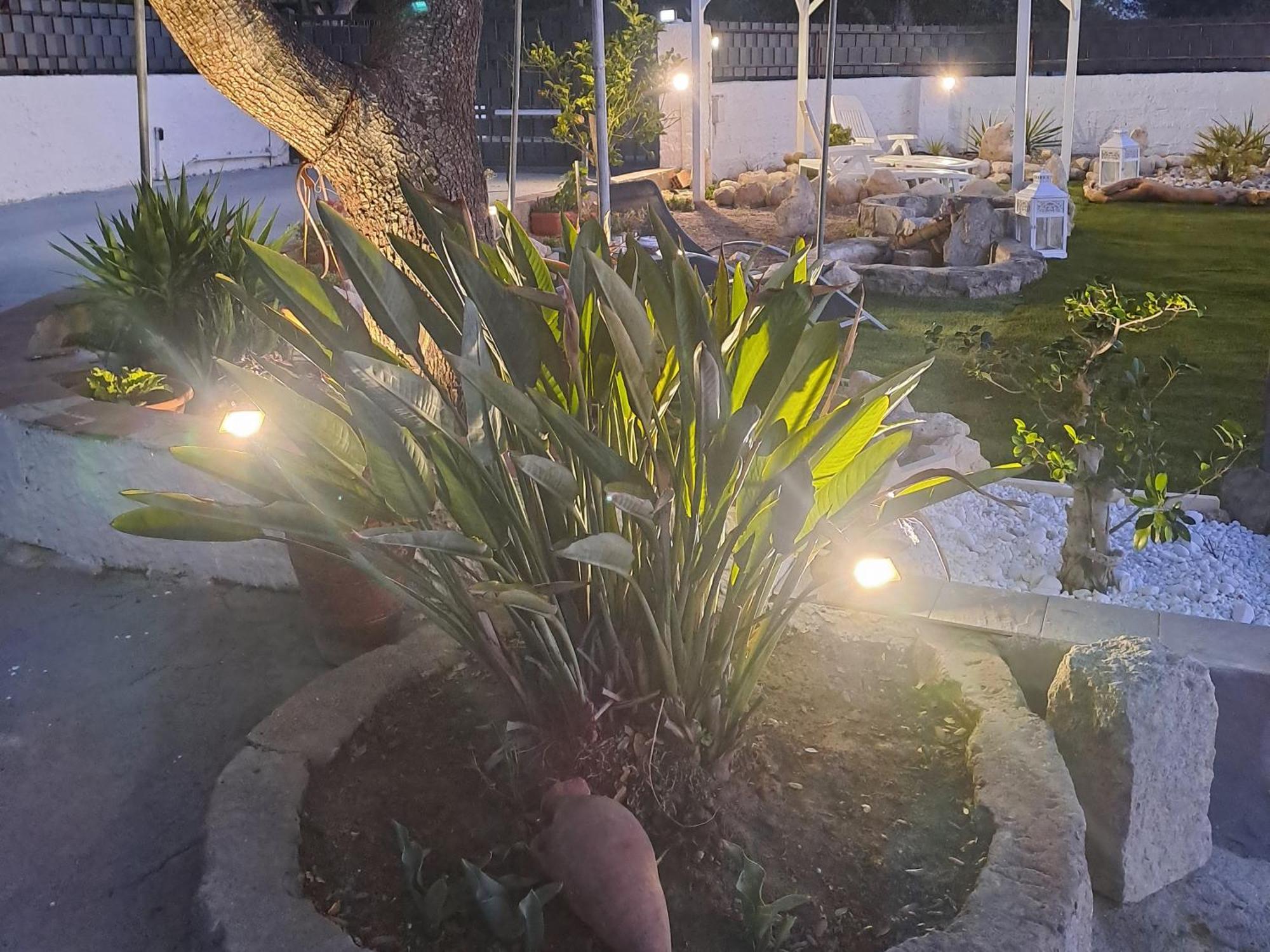 סאסארי Villa Andres מראה חיצוני תמונה